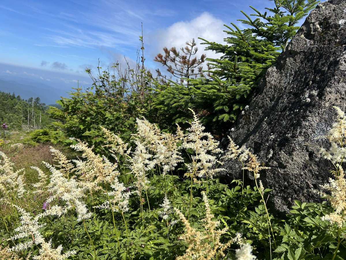 振り返ったら
いつもの自分がいた
前ばっかりみて　
走ってばかりだった
たまには休まないとな
燃え尽きちゃうよ