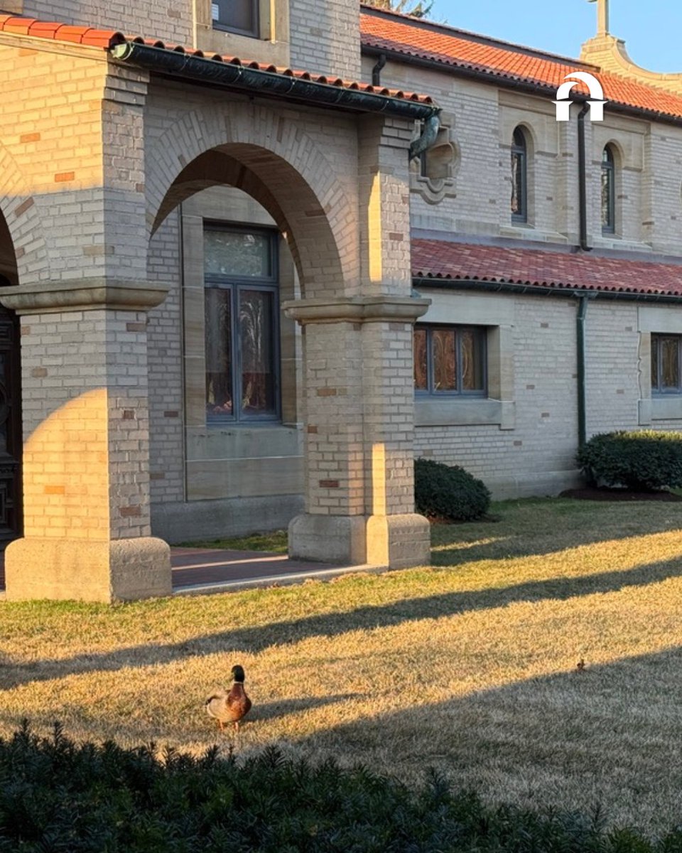 DiscoverLourdes's tweet photo. Midweek reminder to slow down and appreciate the quiet, peaceful moments. 🧡
#LourdesUniversity #WednesdayWellness https://t.co/L8vtPNUrWT