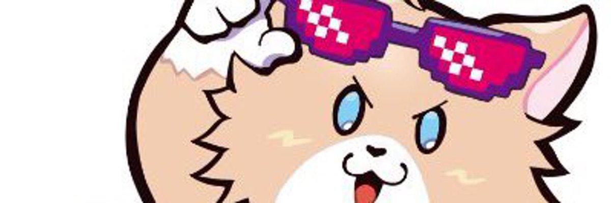 EDGEraito's tweet image. 無双しました決勝ハイブ