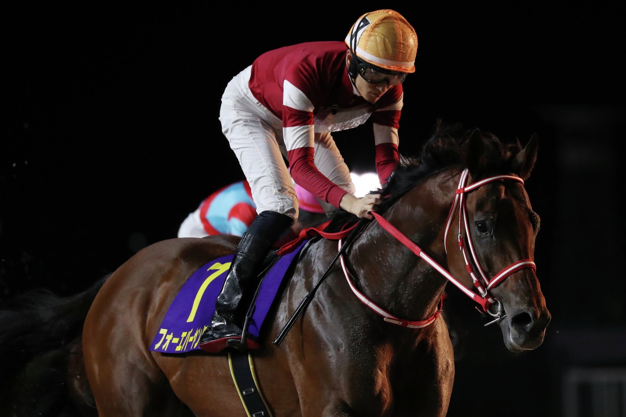 JRA-VAN公式 on X: 