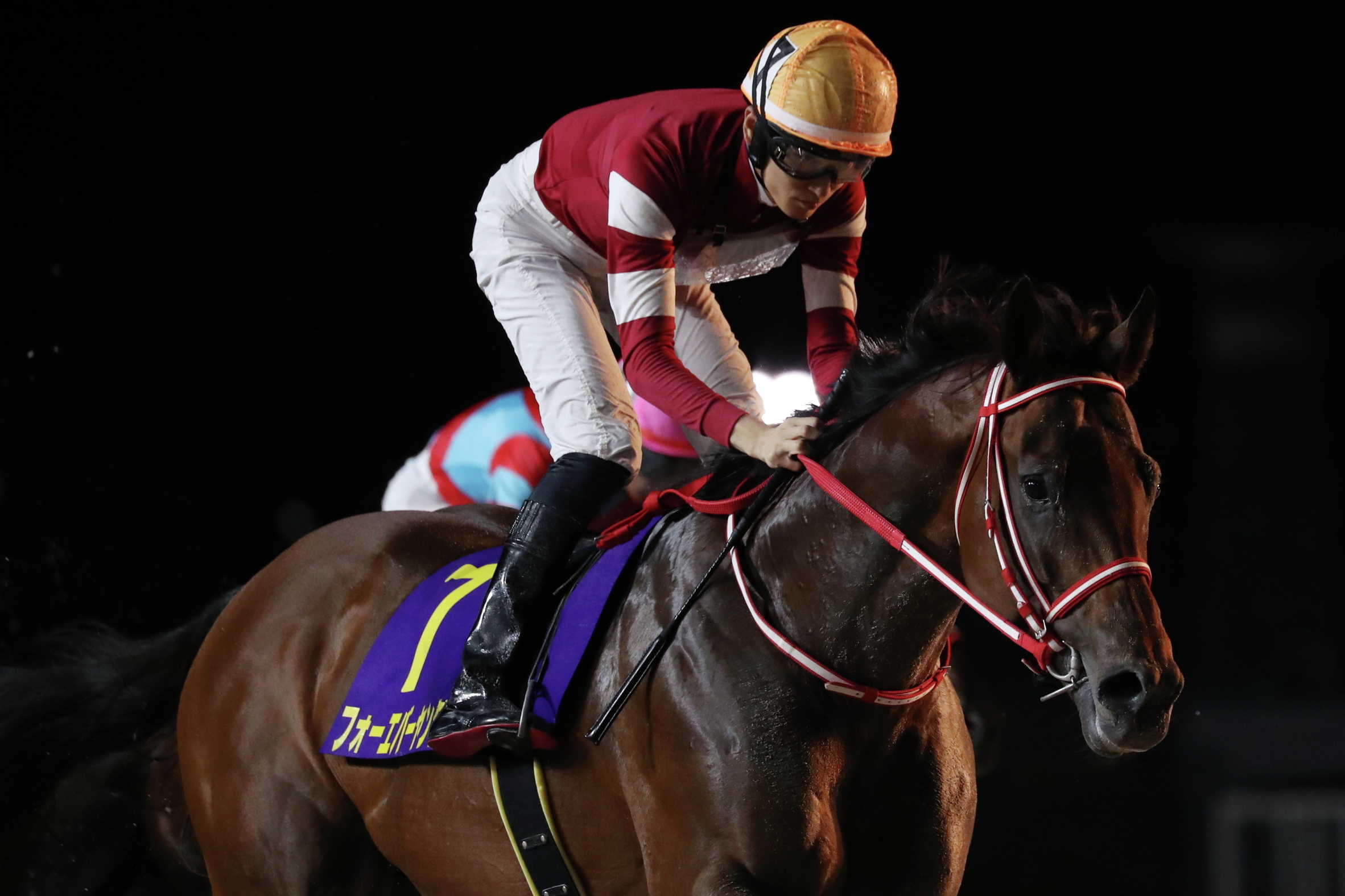 JRA-VAN公式 (@JRAVAN_info) / X