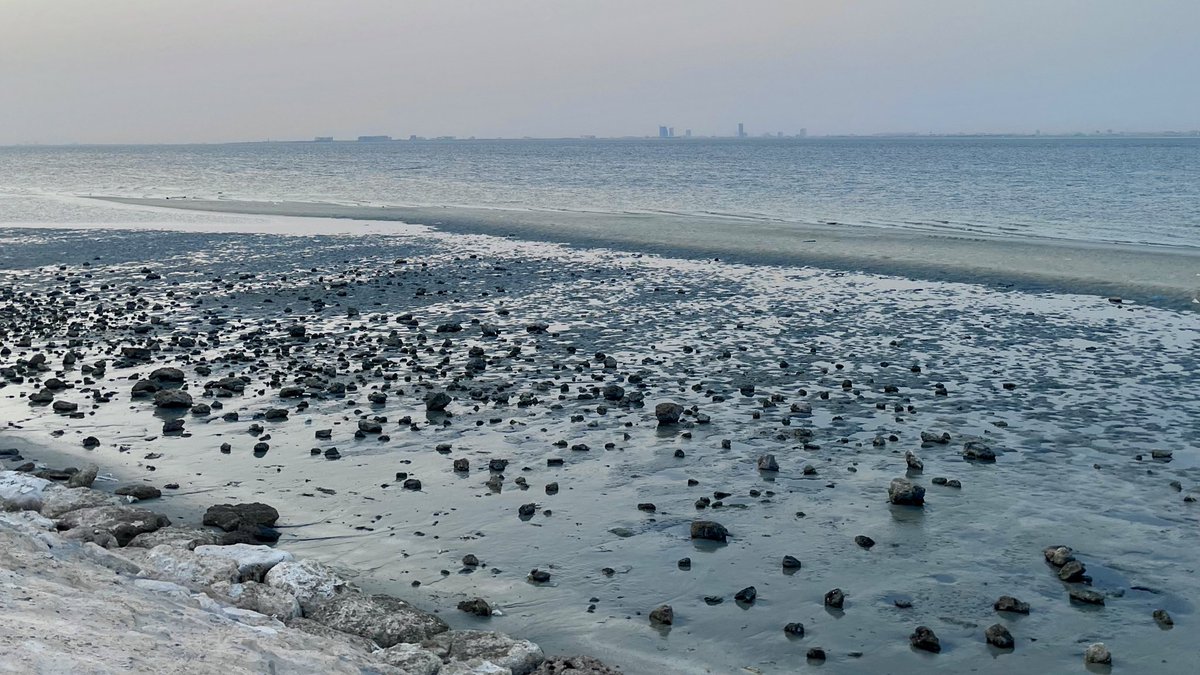 Sol ☀︎ tweet media