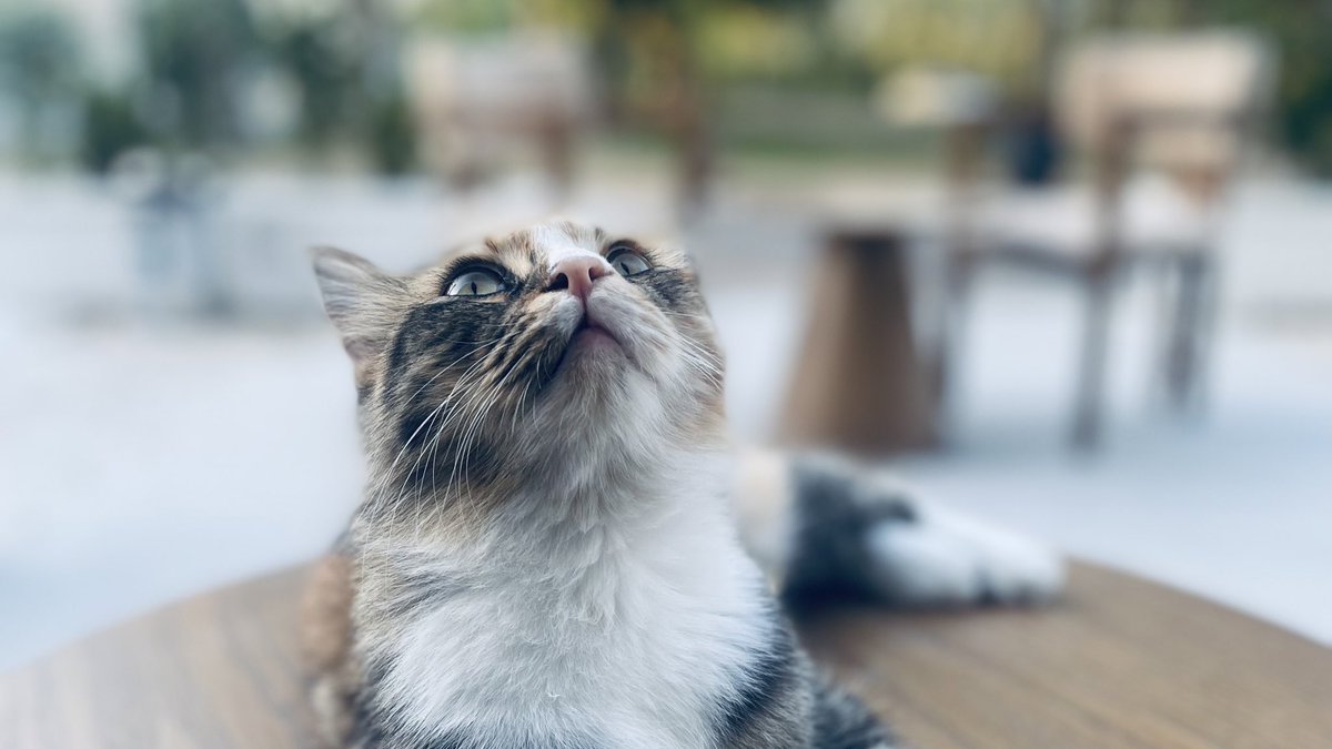 Sol ☀︎ tweet media