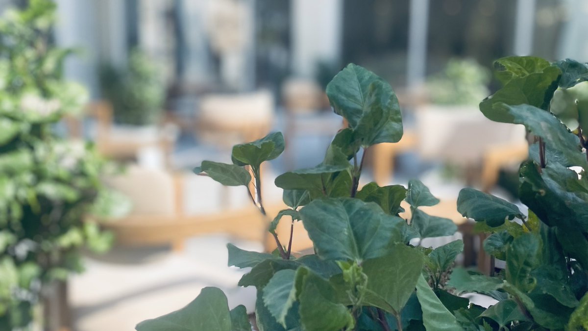 Sol ☀︎ tweet media