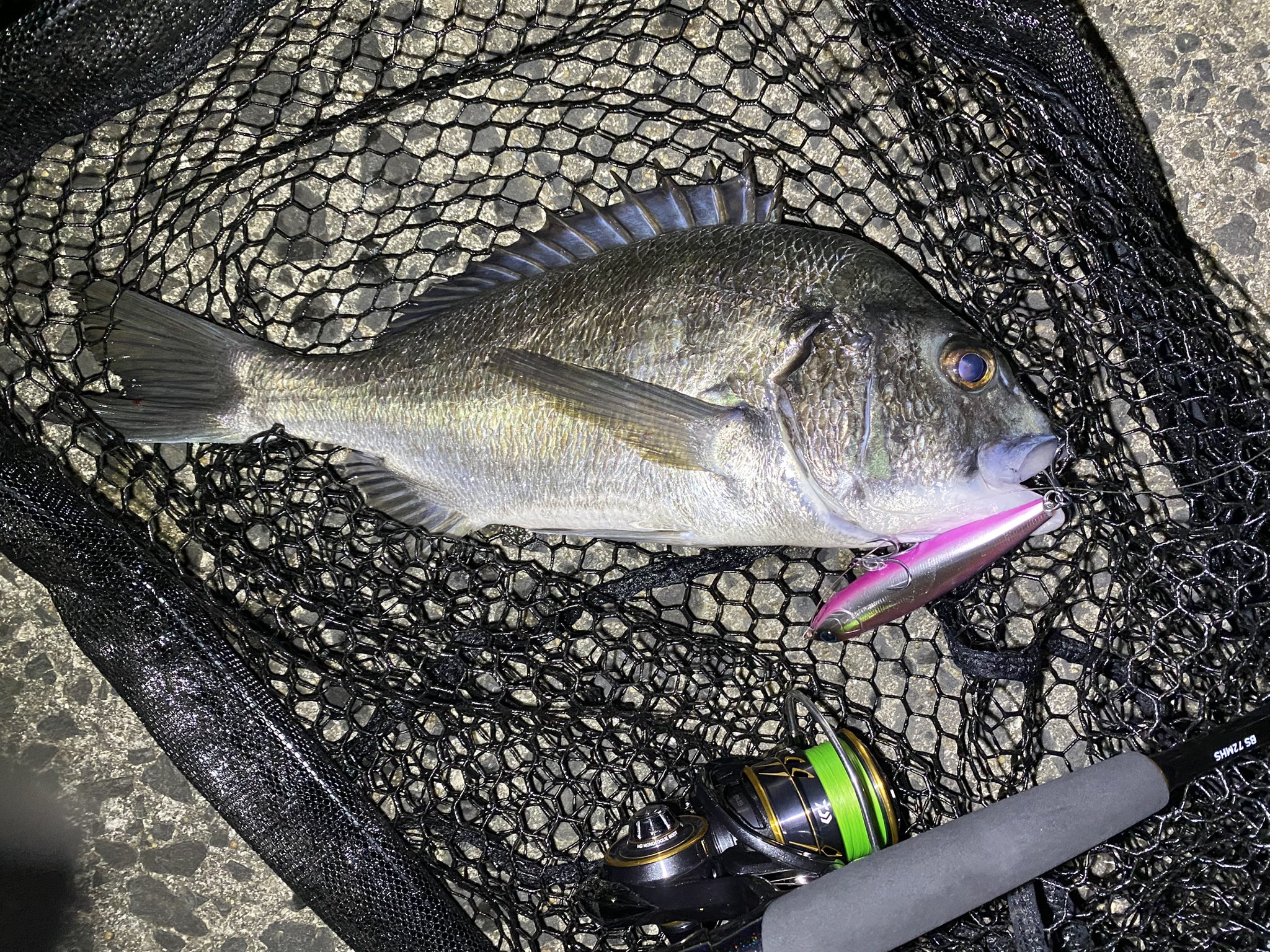 「★ダイワ22★様」 フォロー割‼️ DAIWA SW Fishing Shore (@d_sw_shore) / X