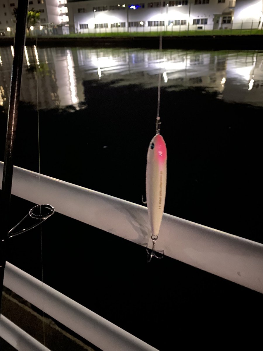 DAIWA - ひろ DAIWA SW Fishing Shore (@d_sw_shore) / X