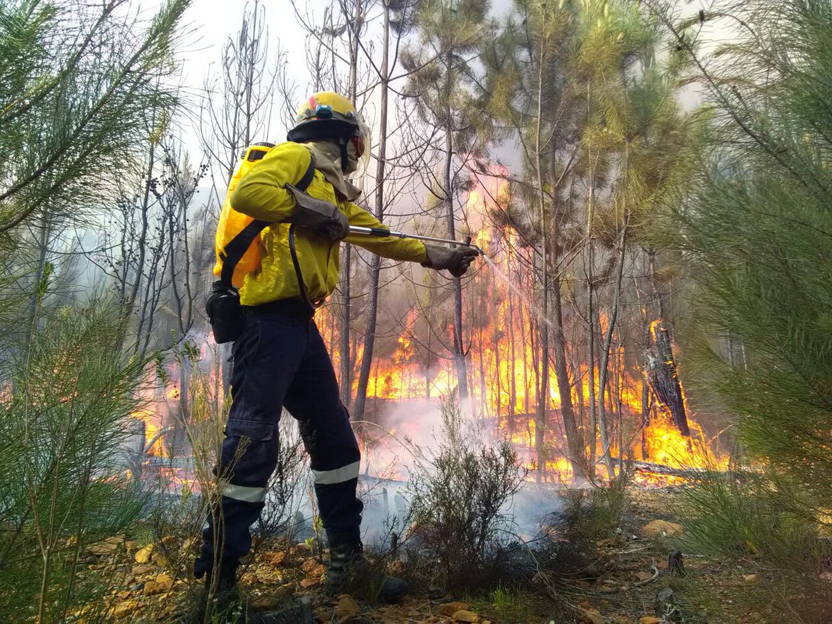 WOF-Kishugu JV tweet media