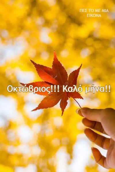 ElenaChaidaki's tweet photo. https://t.co/Yh0jQVDrla