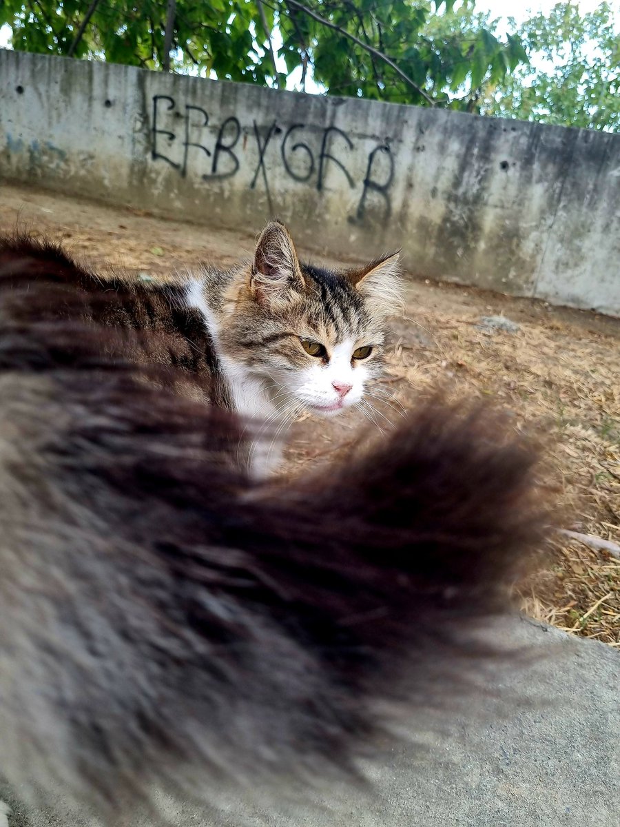 Çok güzelsin