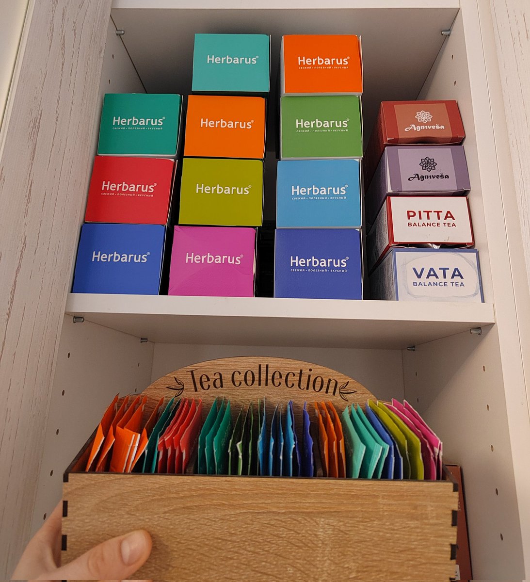 Veritas Veritatum tweet media