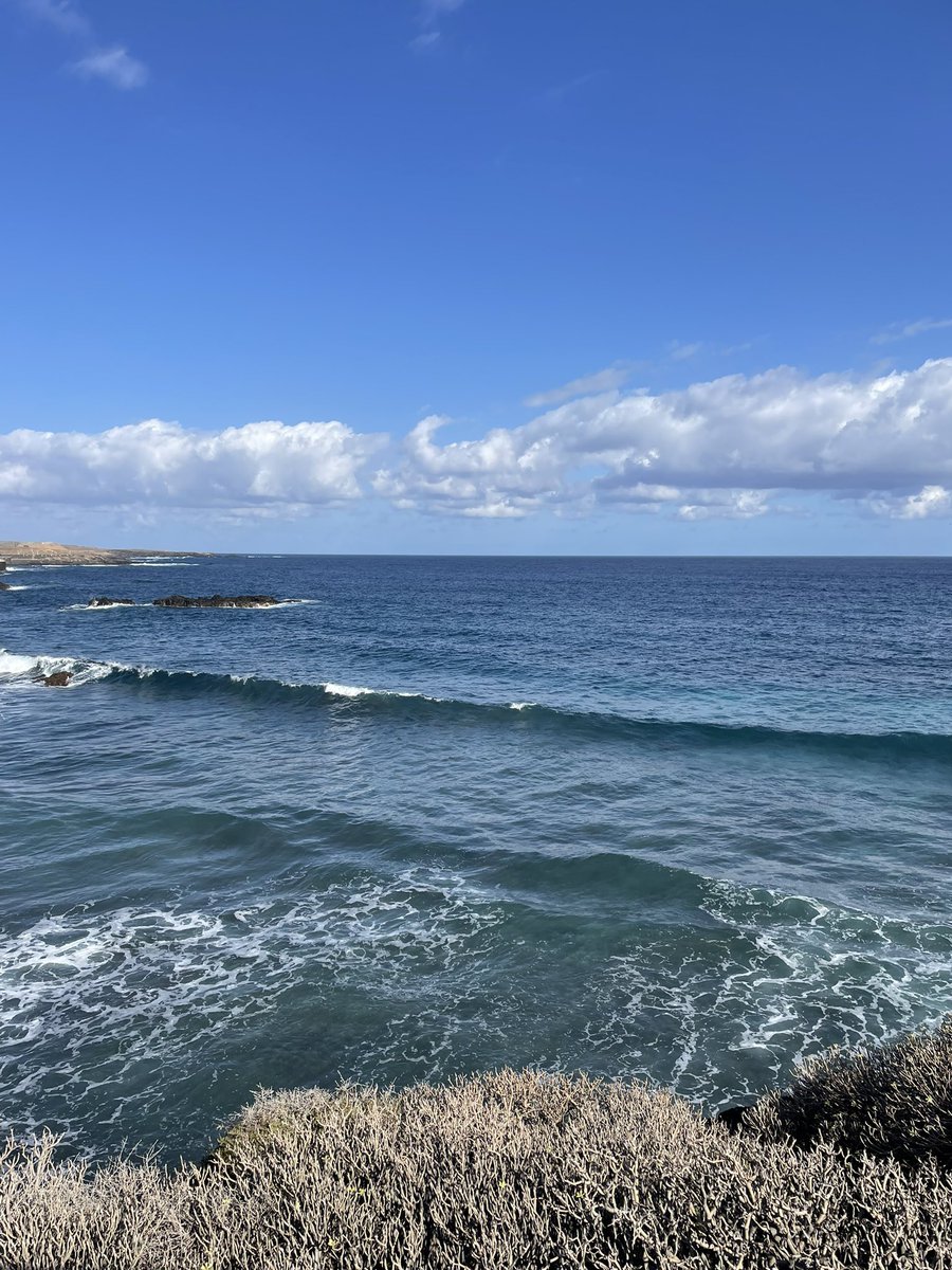 TurismoLosSilos's tweet photo. Saludos desde #lossilos #islabaja #tenerife #islascanarias https://t.co/ei4qLmacSR