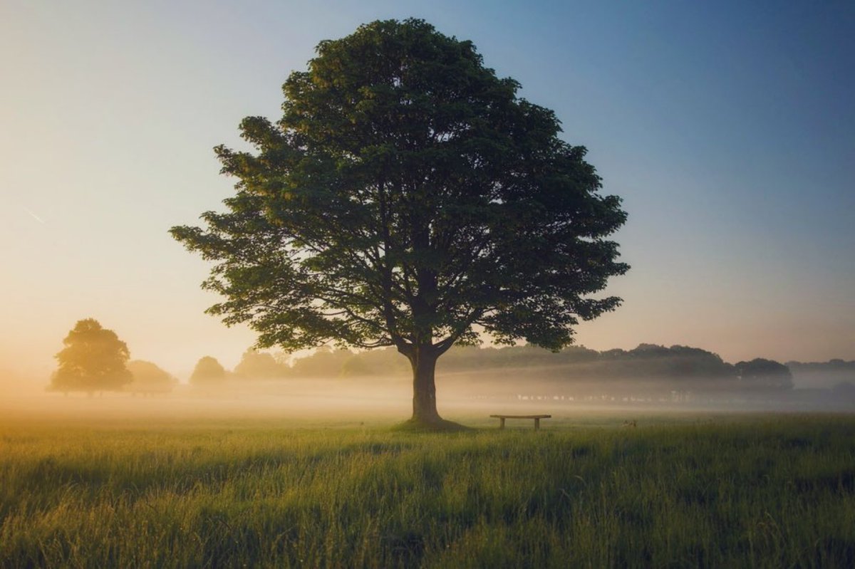 No matter the circumstances,
there is a place deep within you
where stillness always resides,
and where love and peace
always rule.

♥️ May you find it with ease today. ♥️

Happy New Month!