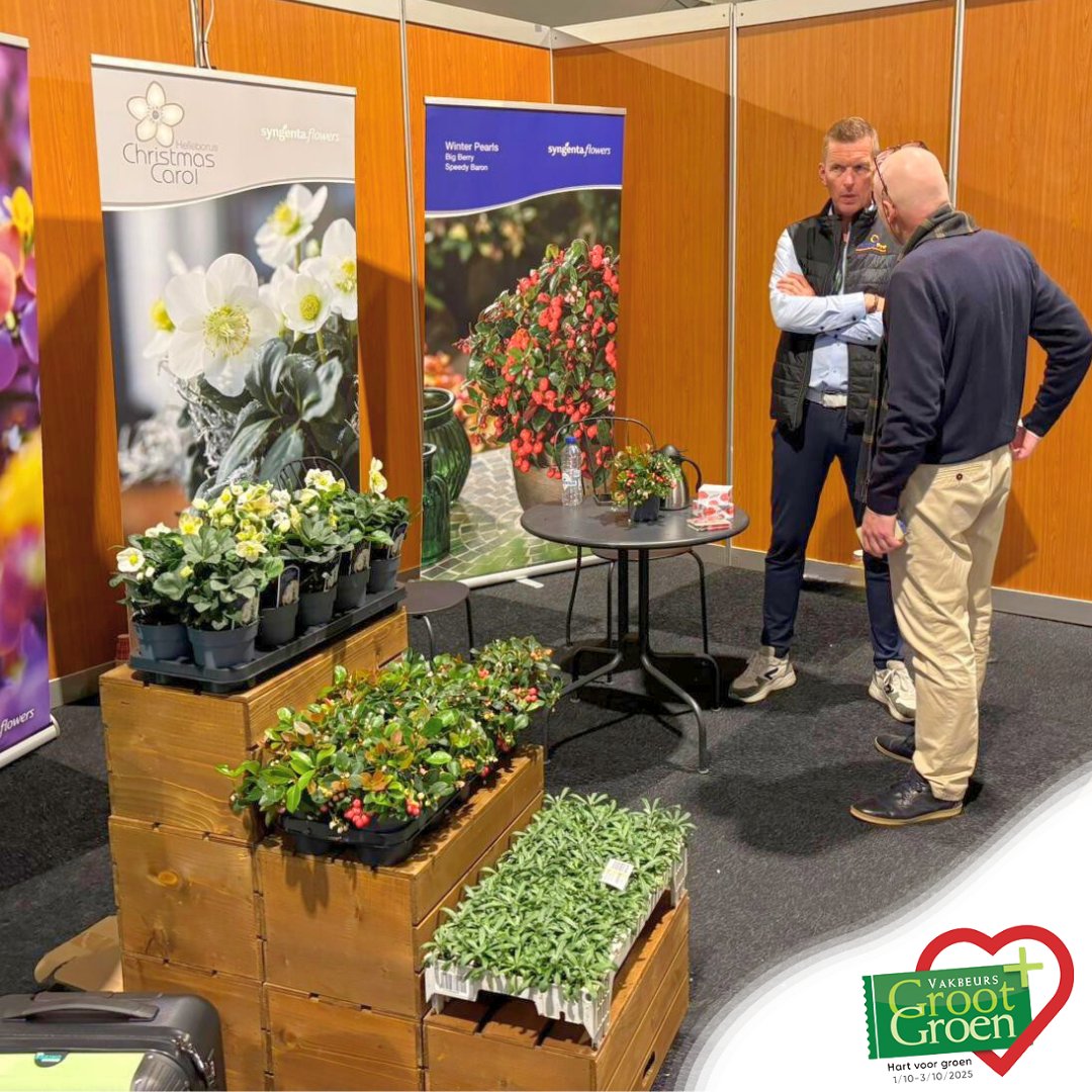 SyngentaFlowers's tweet photo. Our colleagues Wim and Erwin are @ GrootGroenPlus trade fair in Rijsbergen today! 🌱
📅 October 1st - 3rd
📍 Rijsbergen 🇳🇱
🎪 Stand G082
Come meet them and discover our latest innovations! Tickets: https://t.co/nOtwiEg0Tq
#grootgroenplus #tradefair #rijsbergen https://t.co/ZXHXbS8UyA