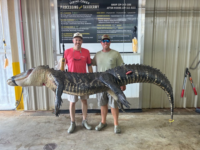Gator season won’t officially close until Oct. 6, but this season has already been highlighted by some really big Georgia alligators and happy hunters.

Check out GON's early-season gallery -- gon.com/hunting/gon-ga…