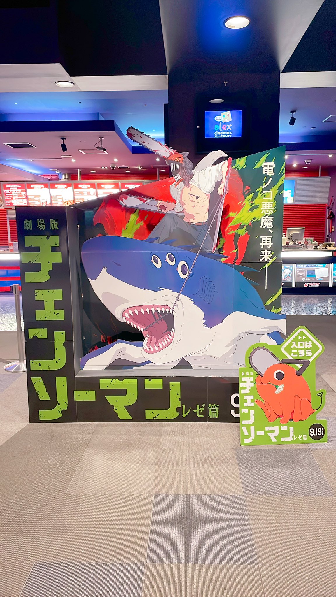 あずきん 41cYu97SeAL._UF350,350_QL50_.jpg