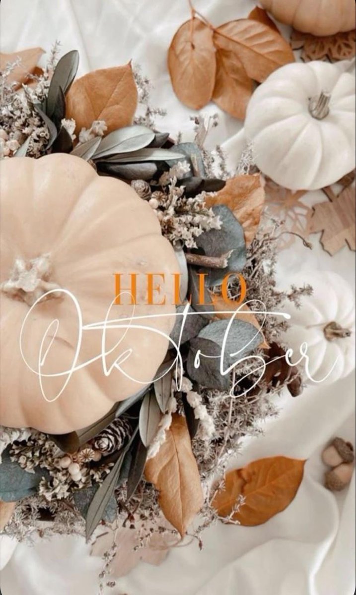 iamniccola's tweet photo. Happy October!!!
Let’s gooooo! I’m ready for some of that
 #sweaterweather 🍁 and all that sweet weather change that makes you all cozy inside. 
#OctoberVibes #spooky #cutefallstyle https://t.co/Ma0875oEKA