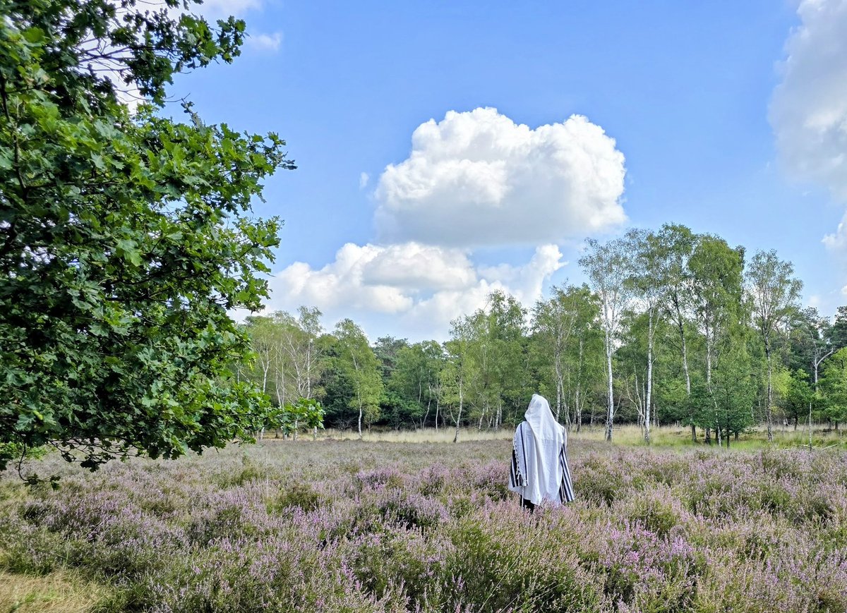 גמר חתימה טובה.
Gamar Chtima Tova