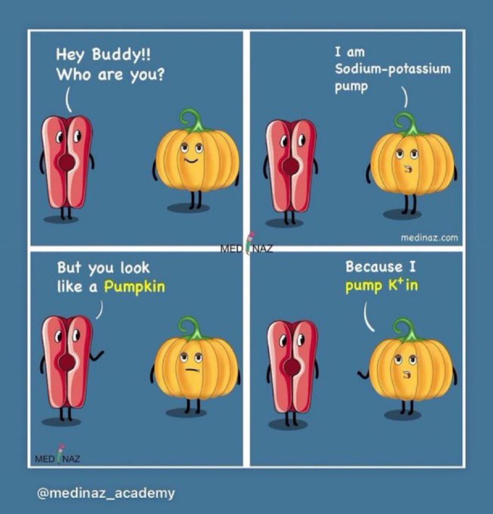 Because it’s officially Halloween season 🎃