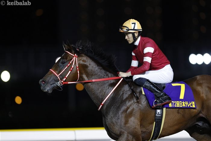 美*)様 坂井瑠星　３枚セット　日本テレビ盃　フォーエバーヤング　オリジナル記念 美*)様 坂井瑠星 3枚セット 日本テレビ盃 フォーエバーヤング