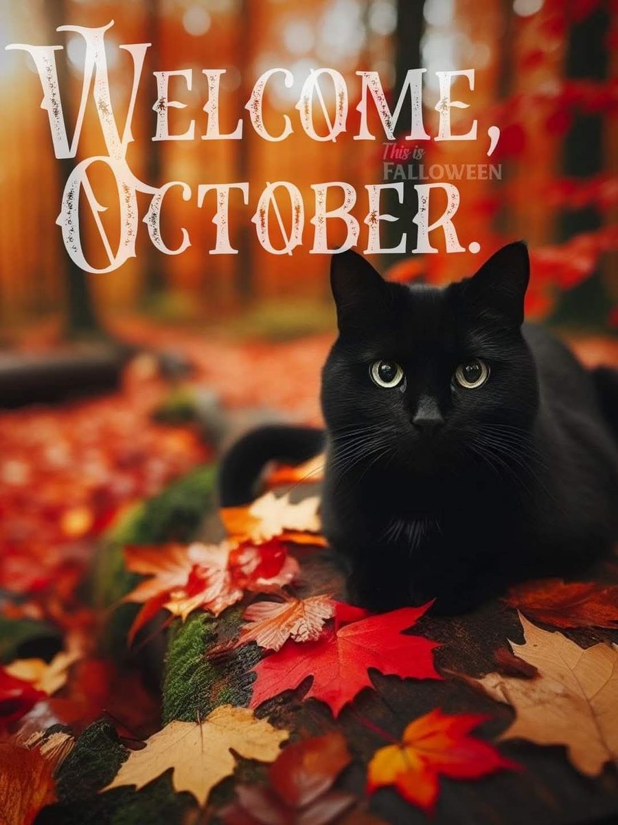 LuvDani_xoxo's tweet image. #HelloOctober! 🍁🍂☕️🧣🎃🩷