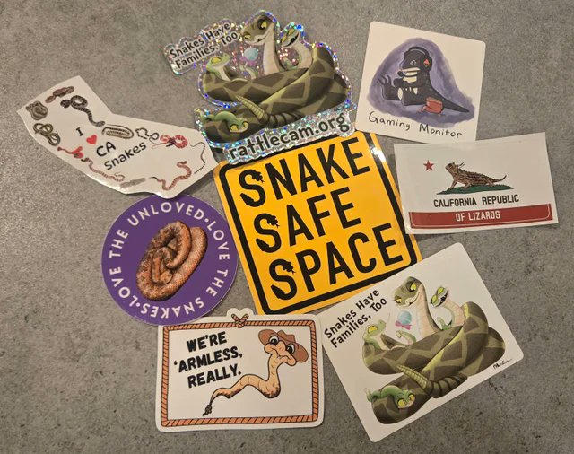 Central Coast Snake Services tweet media