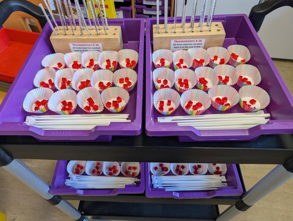 Kerri Passantino tweet media