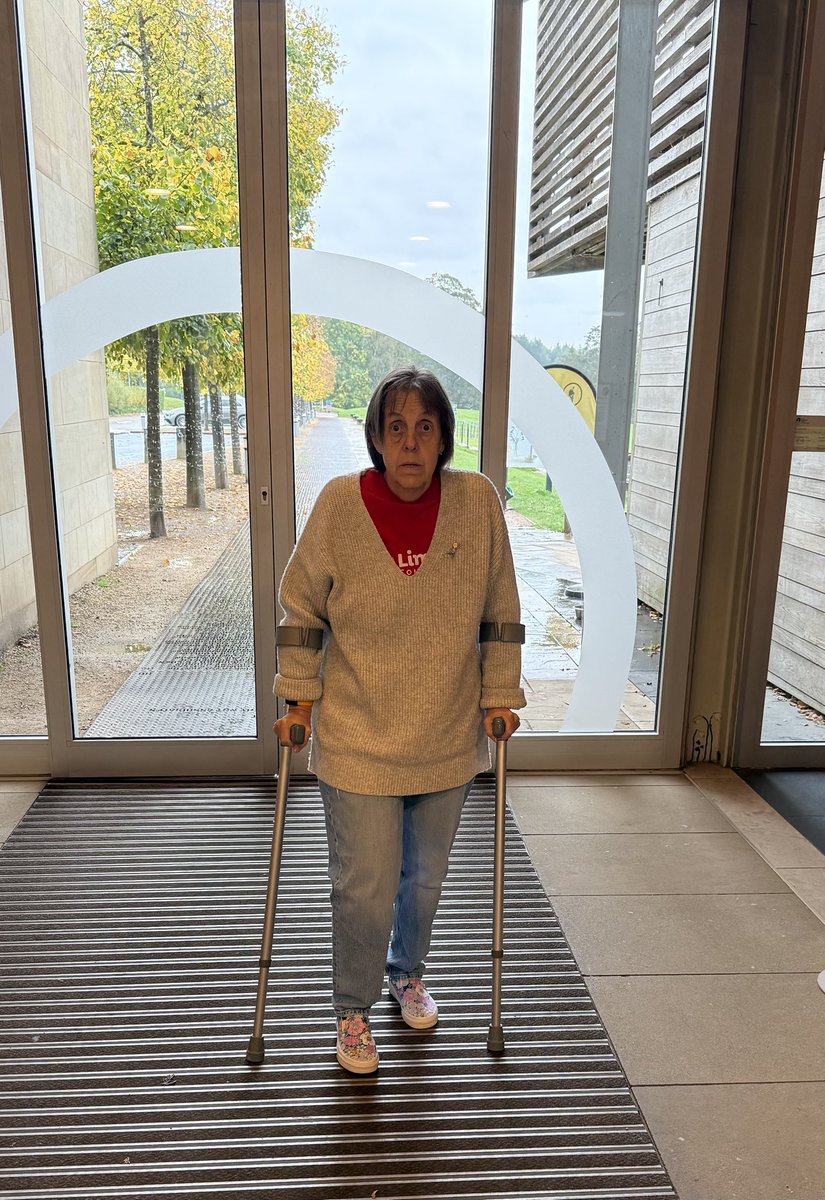 LimbBofoundation tweet media