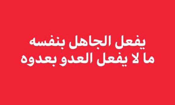 willis99willis's tweet photo. خلاصة القول
#GENZ #المغرب https://t.co/9HKhVVBWYP