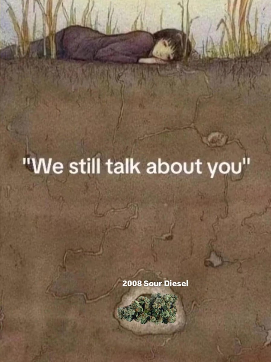 WriteWeed's tweet image. How I long for the days of old. #WriteWeed #PPP #CannabisCommunity #CannabisCulture