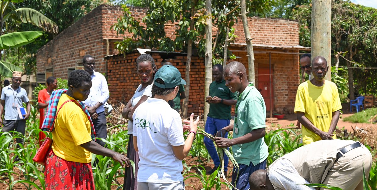 GOAL_Global's tweet photo. The INSPIRE Project is supporting smallholder farmers in Uganda to boost productivity, adopt sustainable land-use practices, and drive inclusive development.

Recently, Naomi Wyles, GOAL’s Deputy Regional Director for Africa, visited Luuka District to meet with Participatory Integrated Planning (PIP) communities that are already improving their farming systems and embracing new technologies.

One example was Mr. Nsubuga Wycliff, a 35-year-old lead farmer hosting an Irrigation Learning Site, where 30 local farmers tested low-cost irrigation methods and compared traditional practices with improved ones, leading to higher yields and stronger resilience.

“INSPIRE is a journey where households and communities act as agents of their transformation, shaping the direction of change,” said Naomi. “I look forward to seeing the results of Wycliff’s and the community’s hard work.”

GOAL Uganda’s Country Director, Dawit Beyene, thanked the Embassy of the Kingdom of the Netherlands in Uganda for their continued support in making this impact possible.
