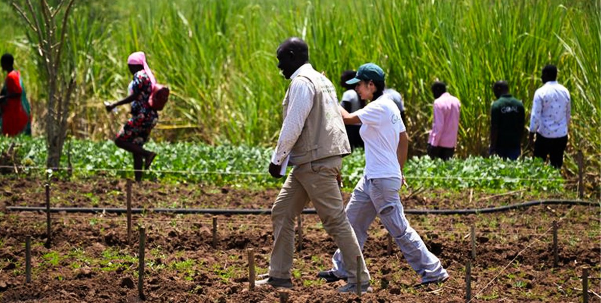 GOAL_Global's tweet photo. The INSPIRE Project is supporting smallholder farmers in Uganda to boost productivity, adopt sustainable land-use practices, and drive inclusive development.

Recently, Naomi Wyles, GOAL’s Deputy Regional Director for Africa, visited Luuka District to meet with Participatory Integrated Planning (PIP) communities that are already improving their farming systems and embracing new technologies.

One example was Mr. Nsubuga Wycliff, a 35-year-old lead farmer hosting an Irrigation Learning Site, where 30 local farmers tested low-cost irrigation methods and compared traditional practices with improved ones, leading to higher yields and stronger resilience.

“INSPIRE is a journey where households and communities act as agents of their transformation, shaping the direction of change,” said Naomi. “I look forward to seeing the results of Wycliff’s and the community’s hard work.”

GOAL Uganda’s Country Director, Dawit Beyene, thanked the Embassy of the Kingdom of the Netherlands in Uganda for their continued support in making this impact possible.