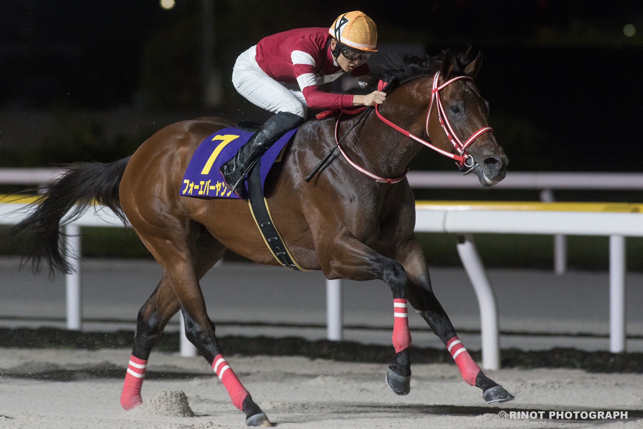 早い者勝ち❗️AbuGarcIa.ZoDIAS win (@win027) / X