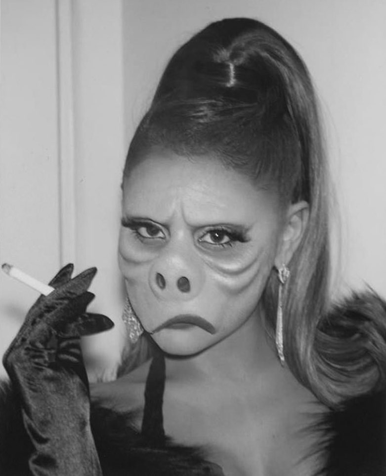 theegrandeheels's tweet image. happy october