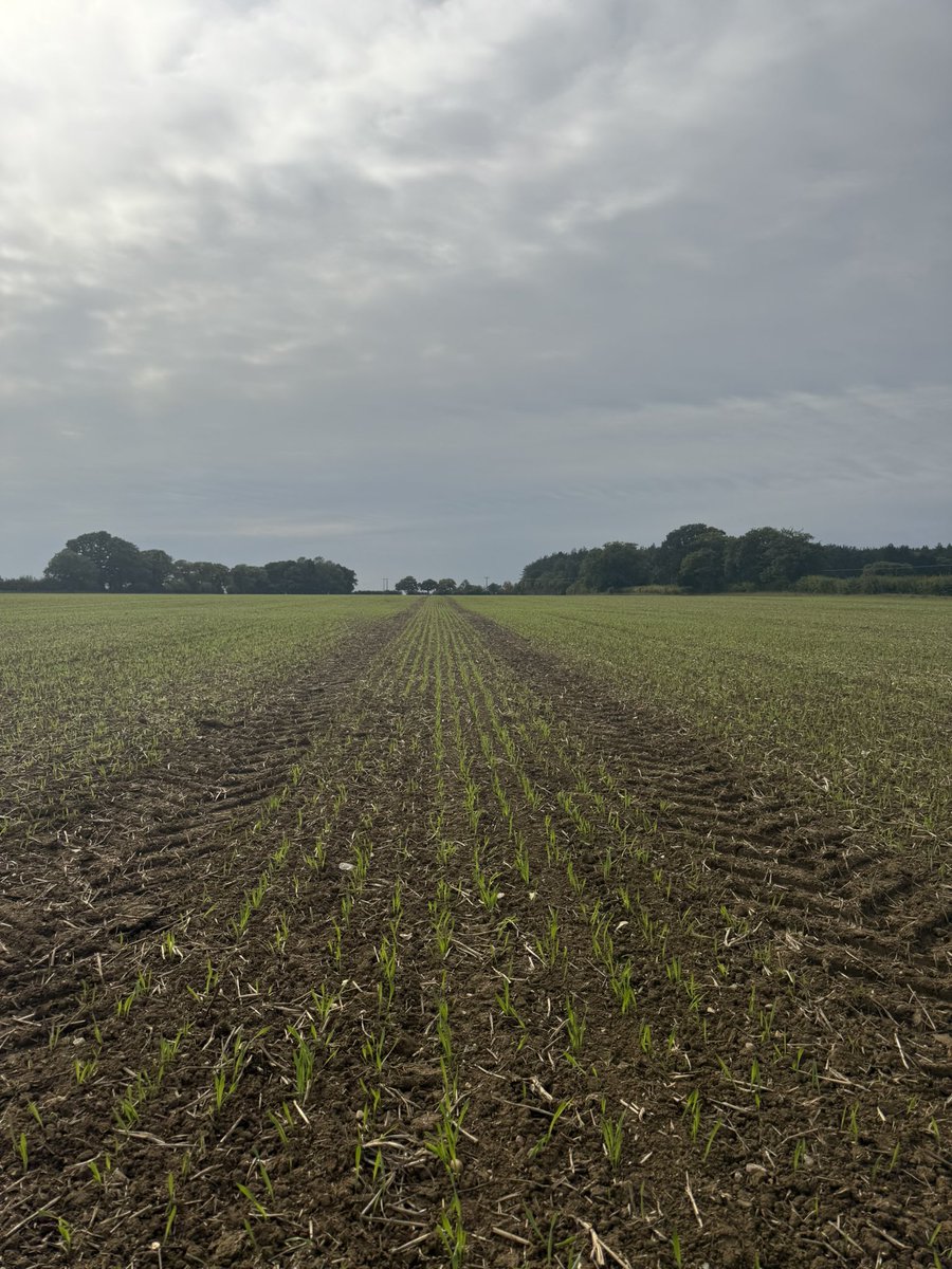 Ed blake tweet media