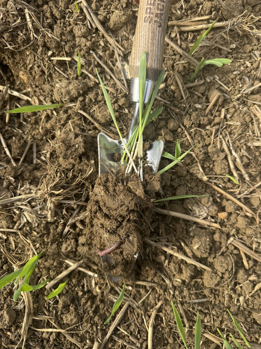 Ed blake tweet media