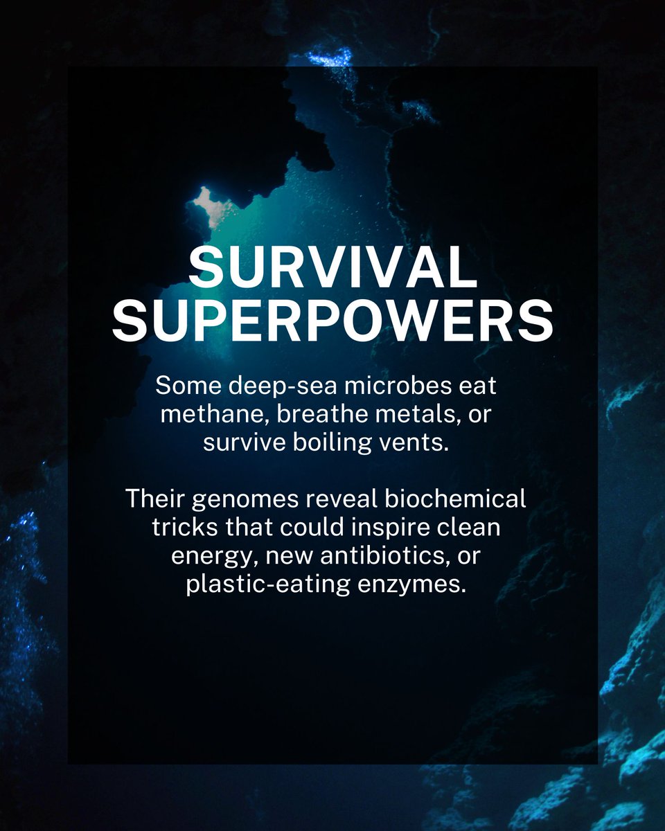diplomics_sa's tweet photo. The deep sea is stranger than science fiction.
And genomics is the flashlight that’s finally showing us what lives there.
From microbes that eat metal to DNA traces of creatures we’ve never seen, ocean genomics is revealing Earth’s last great mystery.
#OceanGenomics #Biodiversity #Genomics #DeepSeaScience