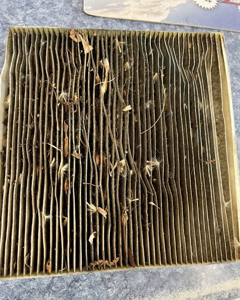 Tire Pros tweet media