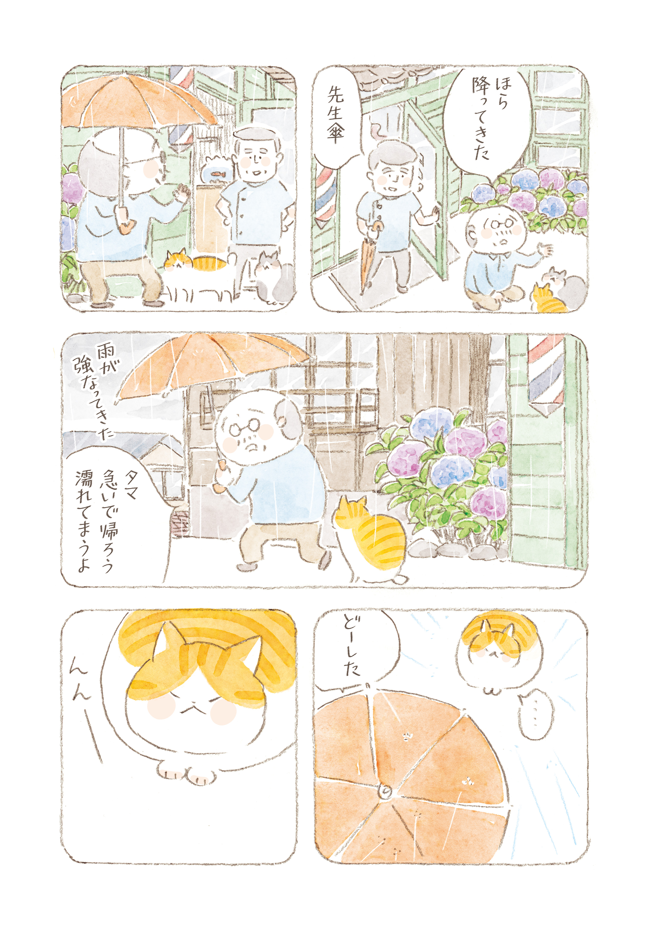 ねことじいちゃん 1〜11 ★おまとめ割あり★ ねことじいちゃん（11）」ねこまき(ミューズワーク) [コミック