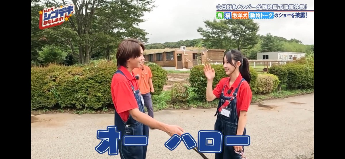 raripappa23's tweet photo. きんりの英会話wwwwwwwww
 #すぱのび https://t.co/YhI4RMrOpk