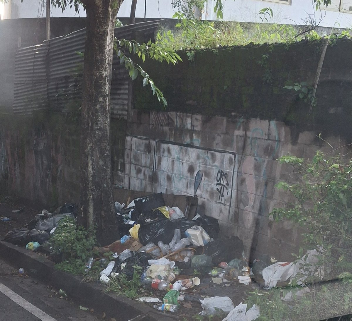 Cerca del Mercadito San Antonio Abad .#AbrazadosporlaBasura #SanSalvadorAbandonado