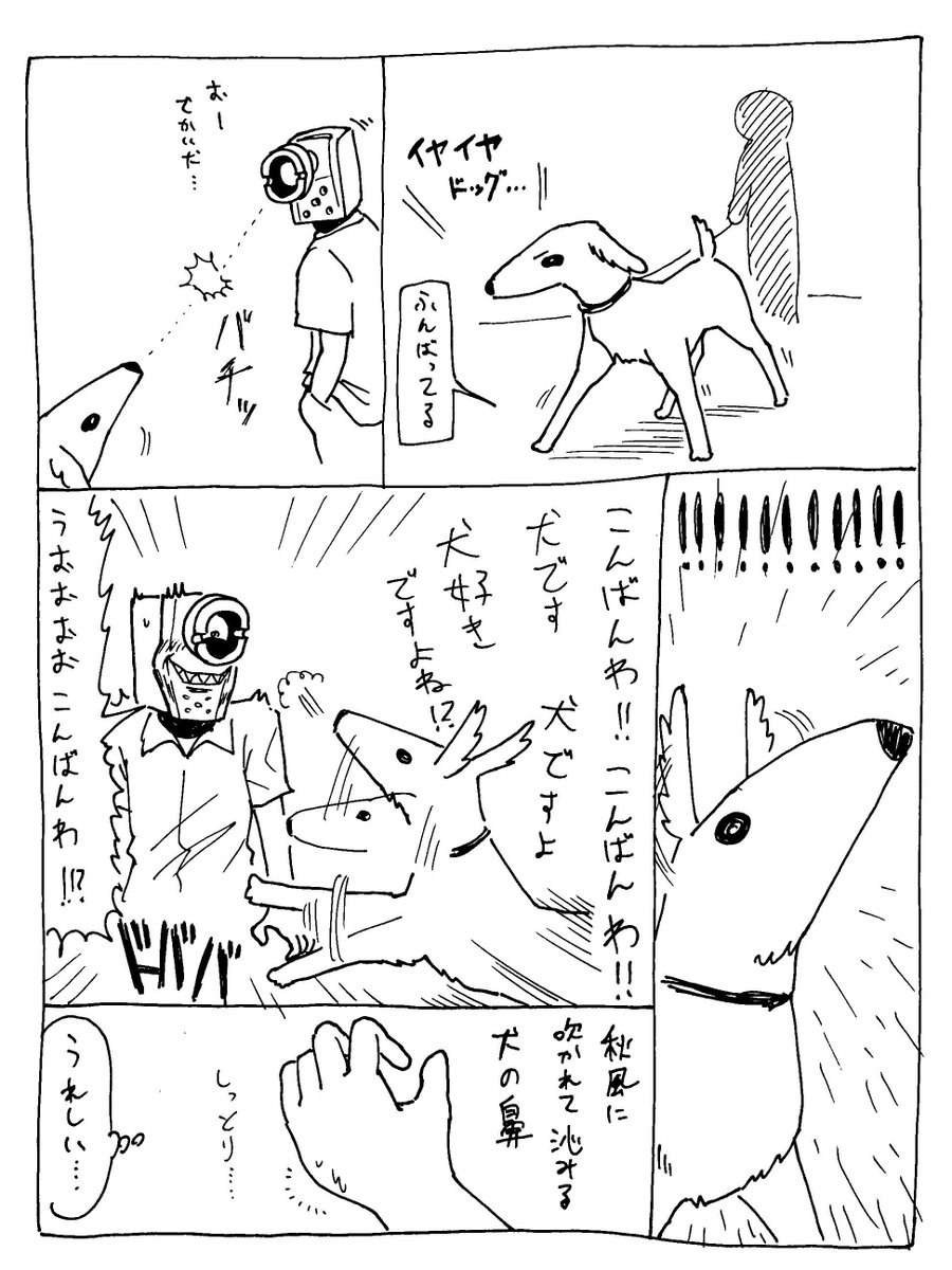 10/1
日記要素

ドッグと目が合うと好きだと気づかれてしまう 
