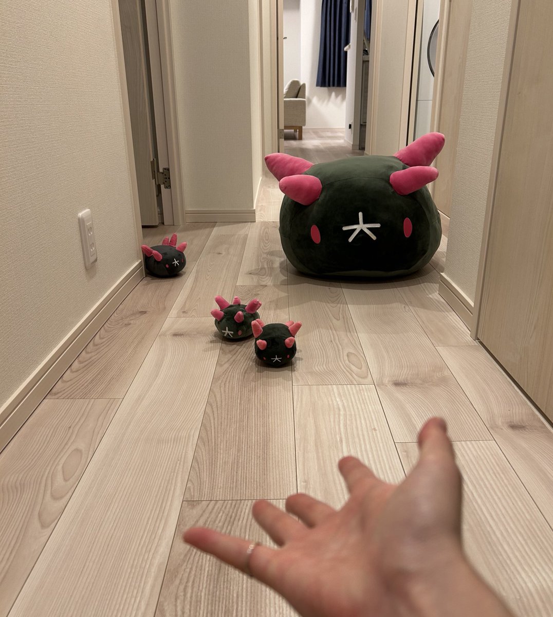 マヨモフ tweet media