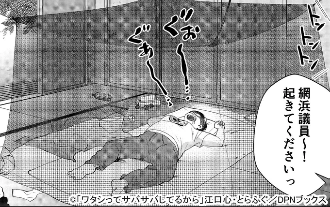 @t_okamoto ハンニバル?いいえ、ただの蚊帳です😂
#ワタサバ 