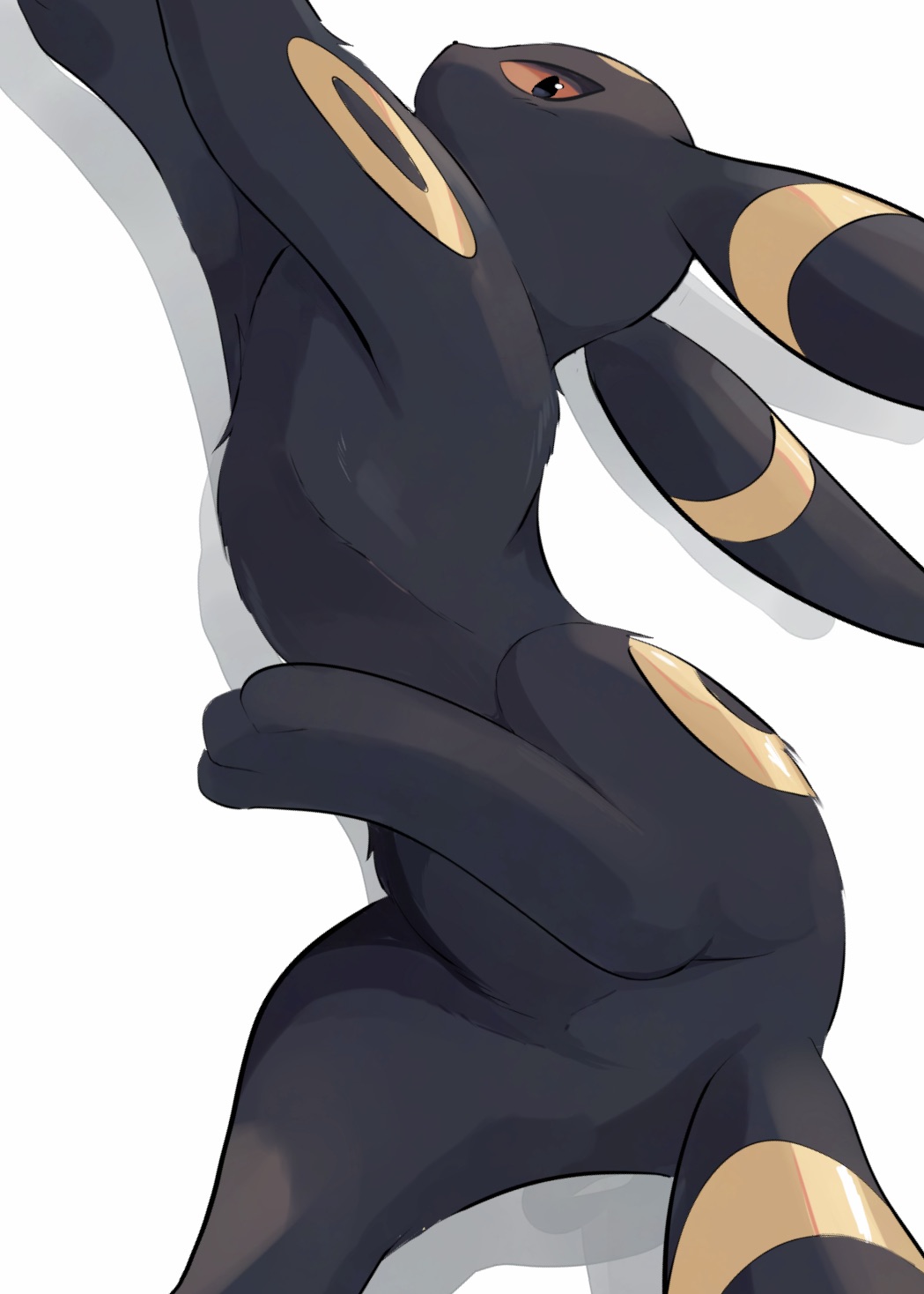 ⭐︎モコ⭐︎ moco on X