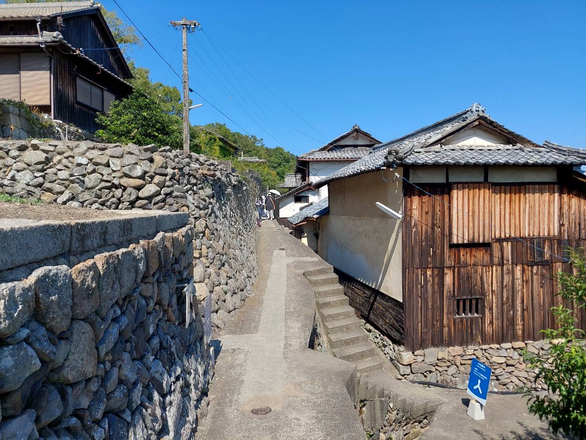 秋会期から登場丨#高見島 】 《かつて除虫菊栽培で栄えた、斜面に石垣
