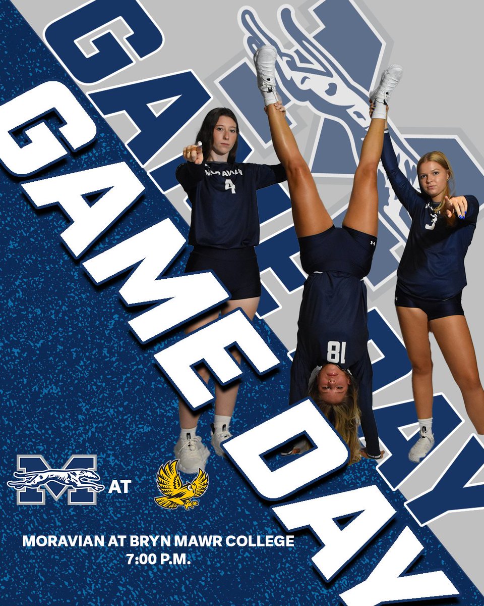 Moravian Greyhounds tweet media