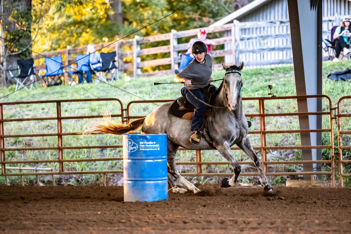 AfterFinishLine's tweet photo. Meet BEACH VEGGIES, a 4y/o #Calbred OTTB competing in Barrel Racing at @RRP_TBMakeover Oct 8-11. Earned $2K racing at Los Al, GGF, Fair tracks. Lives in TN. Eligible for $5K Top-Placed Cal-Bred Award & reimbursement of entry/schooling/stall fees sponsored by Georgia B Ridder Fdn. https://t.co/hNWeNN0n5p