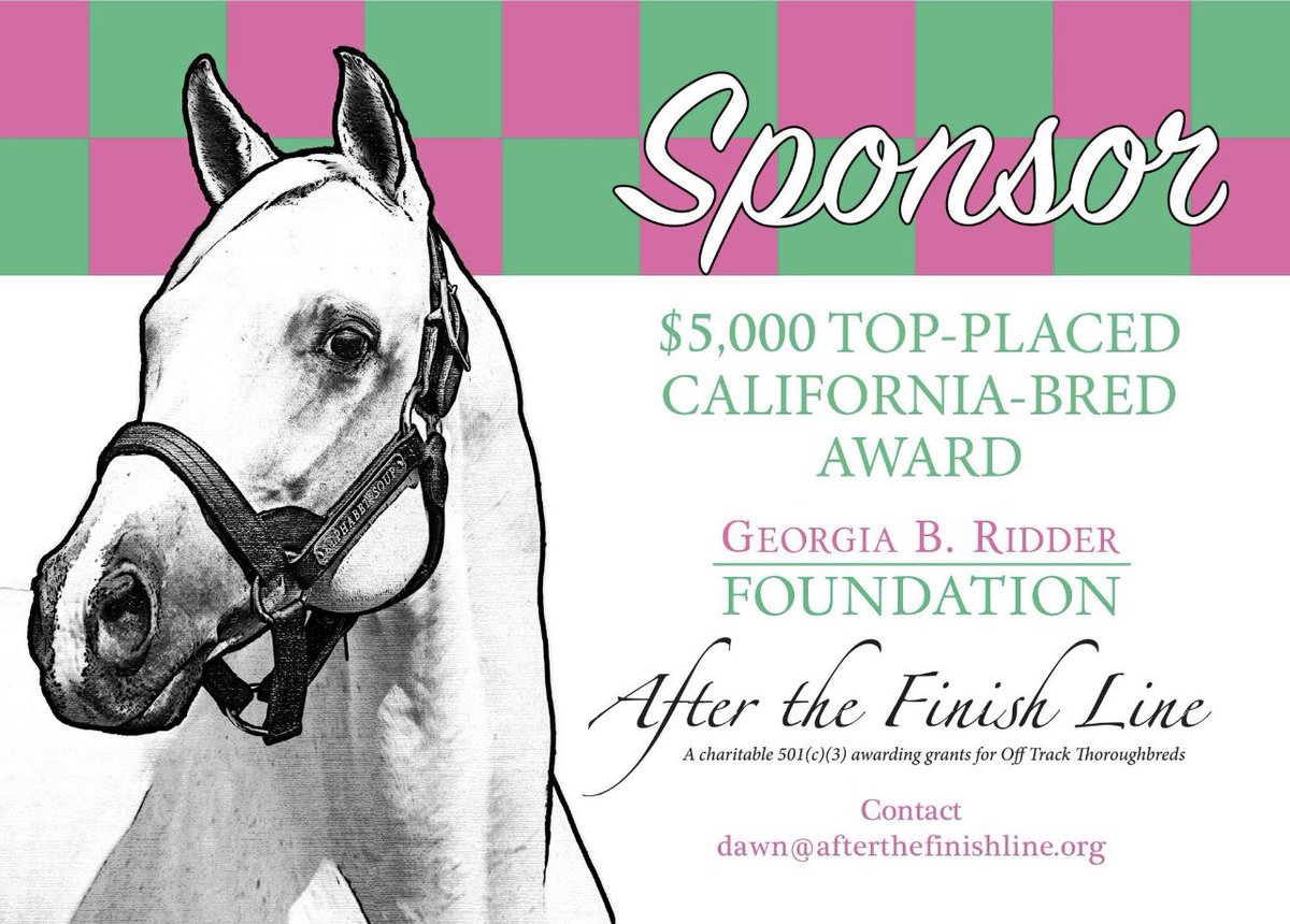 AfterFinishLine's tweet photo. Meet BEACH VEGGIES, a 4y/o #Calbred OTTB competing in Barrel Racing at @RRP_TBMakeover Oct 8-11. Earned $2K racing at Los Al, GGF, Fair tracks. Lives in TN. Eligible for $5K Top-Placed Cal-Bred Award & reimbursement of entry/schooling/stall fees sponsored by Georgia B Ridder Fdn. https://t.co/hNWeNN0n5p
