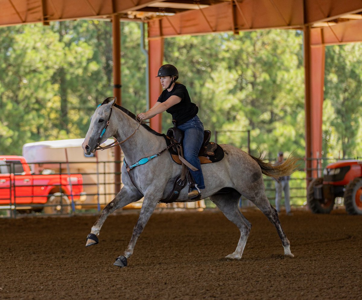 AfterFinishLine's tweet photo. Meet BEACH VEGGIES, a 4y/o #Calbred OTTB competing in Barrel Racing at @RRP_TBMakeover Oct 8-11. Earned $2K racing at Los Al, GGF, Fair tracks. Lives in TN. Eligible for $5K Top-Placed Cal-Bred Award & reimbursement of entry/schooling/stall fees sponsored by Georgia B Ridder Fdn. https://t.co/hNWeNN0n5p