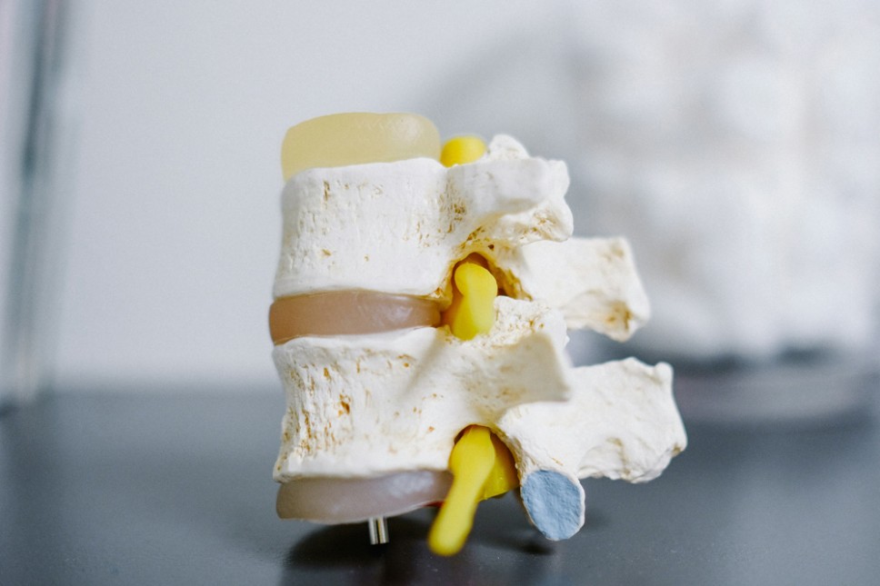 Mejorar las fracturas óseas con biomateriales avanzados: ow.ly/6l8550X074L

😀 Aprende más sobre #bioeconomia con <a href="/AitemyLearning/">Aitemy Learning</a> aquí: ow.ly/ZtCk50WgQRt